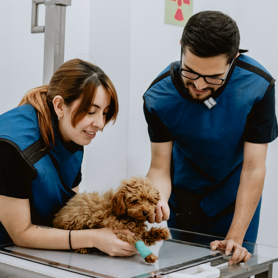 Especialidad de Neurología en Movet